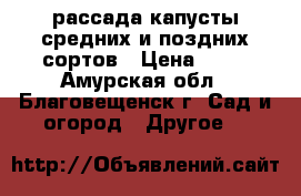 рассада капусты средних и поздних сортов › Цена ­ 50 - Амурская обл., Благовещенск г. Сад и огород » Другое   